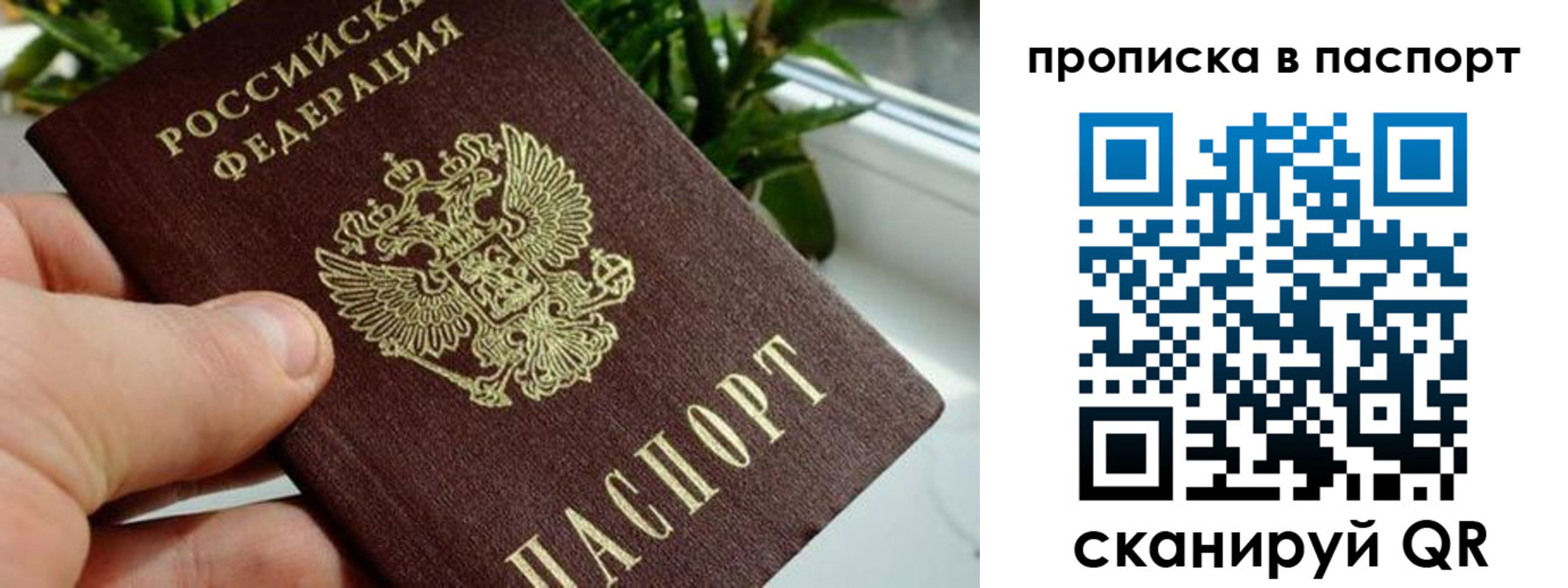 временная регистрация поиск в Евпатории